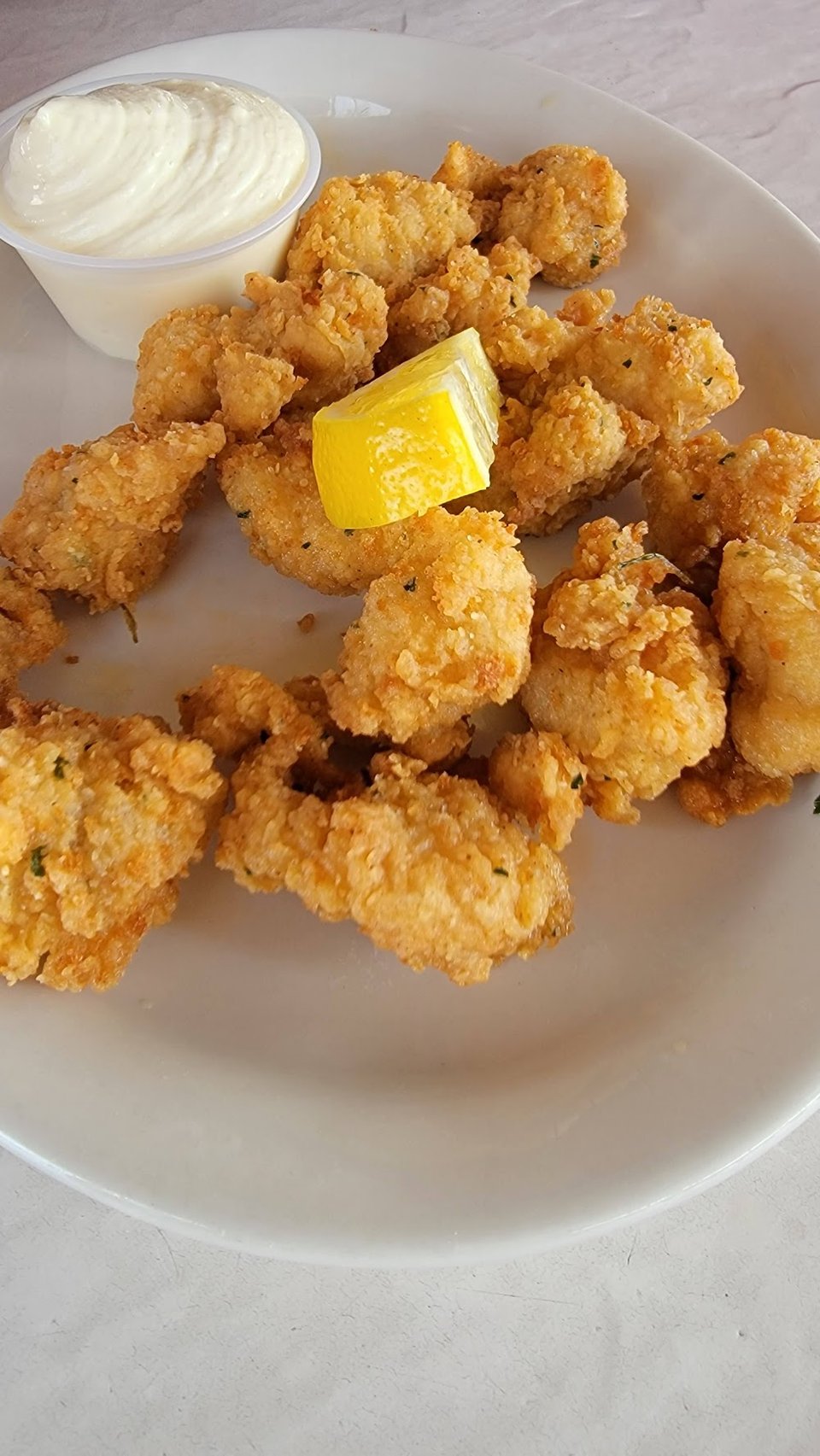 Gator Bites